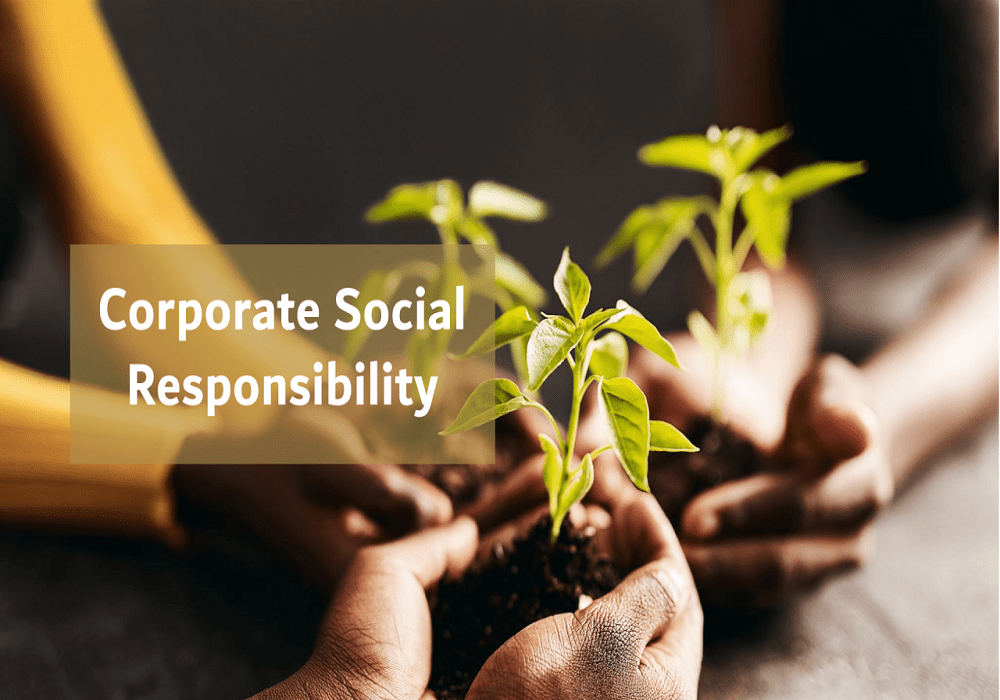 The various CSR activities undertaken by Mr. Arif Patel in Dubai